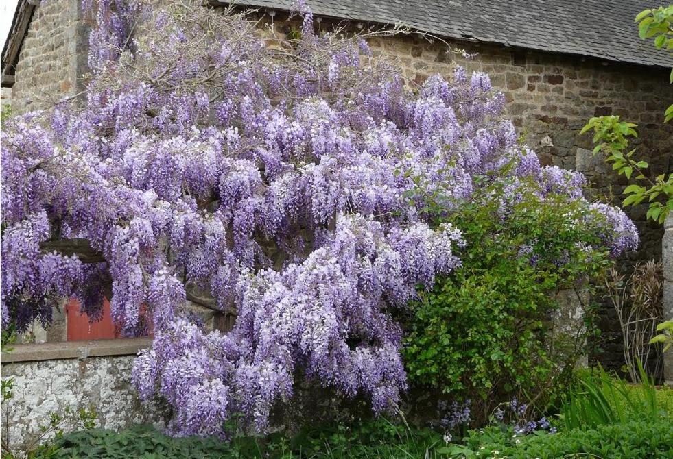 Le Clos Des Anges Dingé Dış mekan fotoğraf